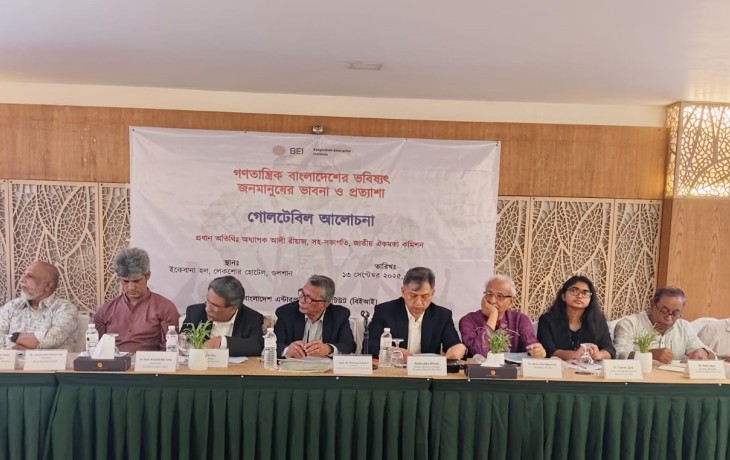 Building strong institutions vital for democratic success: Ali Riaz Only elections are not enough for a sustainable democratic transition, he says, The Daily Star, 13 September, 2025